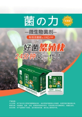 N24 菌の力（生根型）