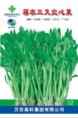 空心菜